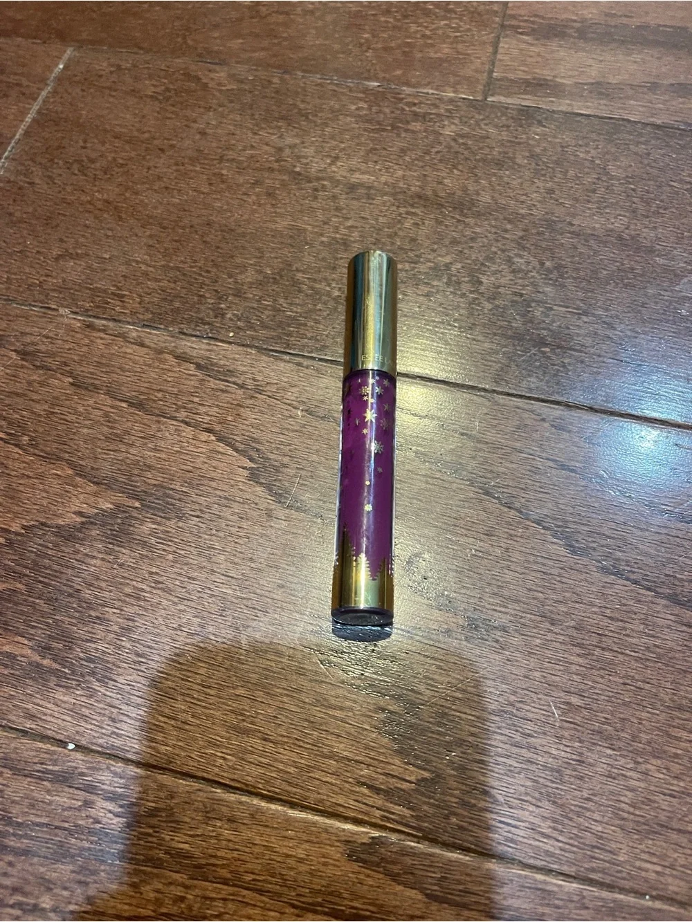 Estee Lauder Pure Color Envy Liquid Lipstick in Posh Plum with Black Cap